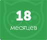 18 месяцев