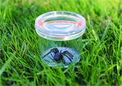 Баночка для изучения насекомых GeoSafari® Jr. Bug Viewer EI-5111