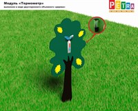 Модуль интерактивный  «Термометр и Сбор осадков» (Выполнен в виде двустороннего объемного «Дерева»)