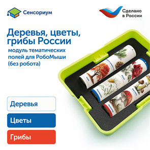 {{productViewItem.photos[photoViewList.activeNavIndex].Alt || productViewItem.photos[photoViewList.activeNavIndex].Description || 'Модуль &quot;Деревья, цветы, грибы России&quot;'}}