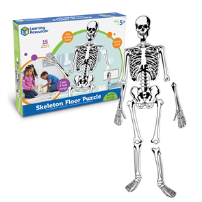 {{photo.Alt || photo.Description || 'Напольный пазл &quot;Скелет&quot; (122см., 15 элементов)'}}