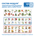 Модуль "Деревья, цветы, грибы России" MS0102/1
