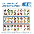 Модуль "Овощи, фрукты, ягоды России" MS0102/2